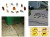 灭四害专家服务,武汉坤龙除四害消杀公司