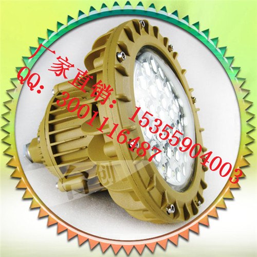 TCD210B 50W加油站防腐防尘 免维护防爆灯led灯