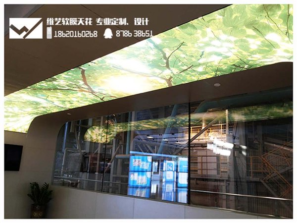 供应环保透光软膜天花吊顶品牌/软膜安装批发
