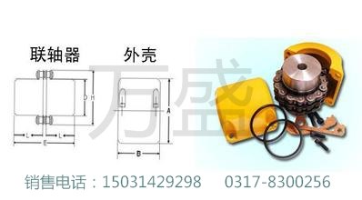 专业的链条联轴器厂家来自泊头万盛