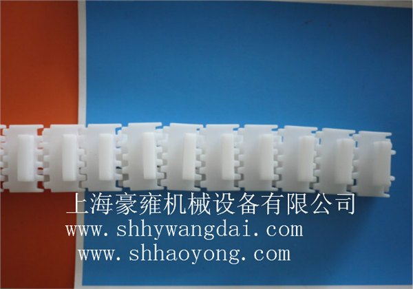 塑料链板输送带