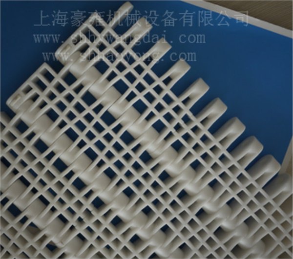 塑料模块网带厂家