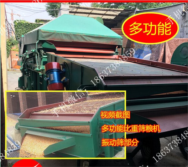 厂家供应蚕豆豌豆去石除杂筛选机