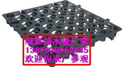 求购【地下室防排水板专用】4公分6公分福州厂家供应