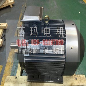 YE3-315L1-4 YE2-90L-6新型高效节能电机