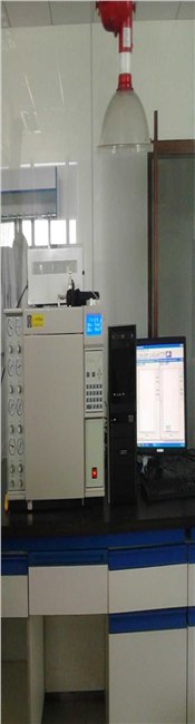 常见气象色谱仪价格/国产气象色谱仪供应商