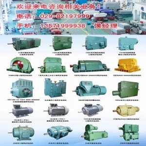 YE3-315L1-4 YE2-315L2-6新型高效节能电机