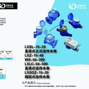LXSY旋翼式远传水表 远传远控型