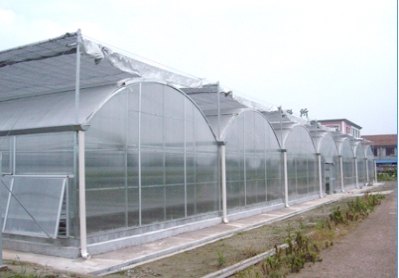 市辖区生态餐厅阳光板哪个有质量保证,装饰的透明塑料板