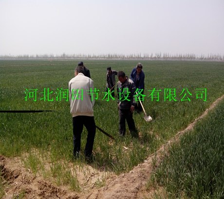 蔬菜灌溉喷水带设备|五孔带高邑县有售