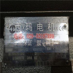 YE3-315L2-4 YE2-160M2-2新型高效节能电机