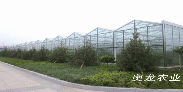 蔬菜大棚建设场地的选择