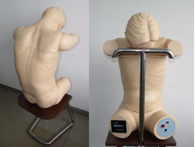 供应高级腰椎与胸腔穿刺一体训练模型人