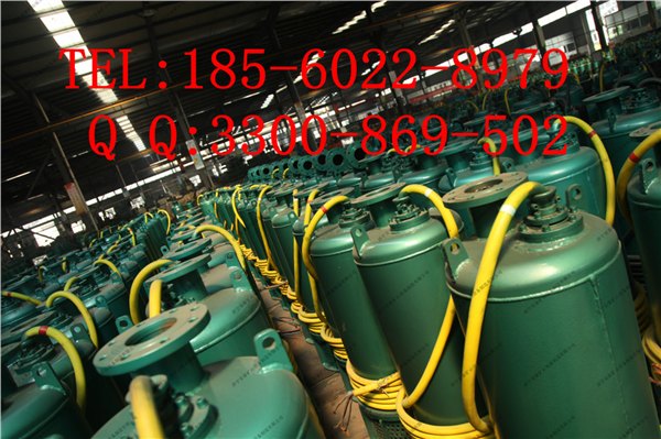 惠州BQ矿用防爆潜水泵用料上乘技艺精湛