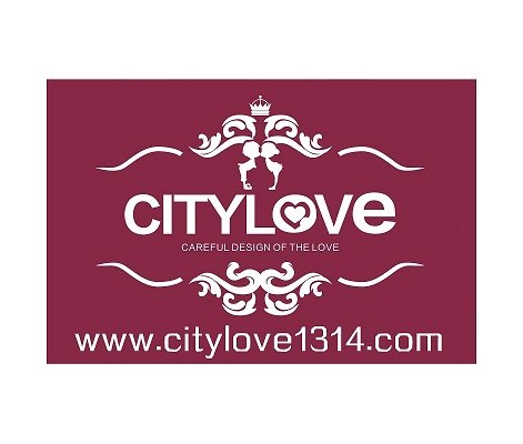 上海金山嘉定区创意求婚策划CITYLOVE您的专业求婚团队