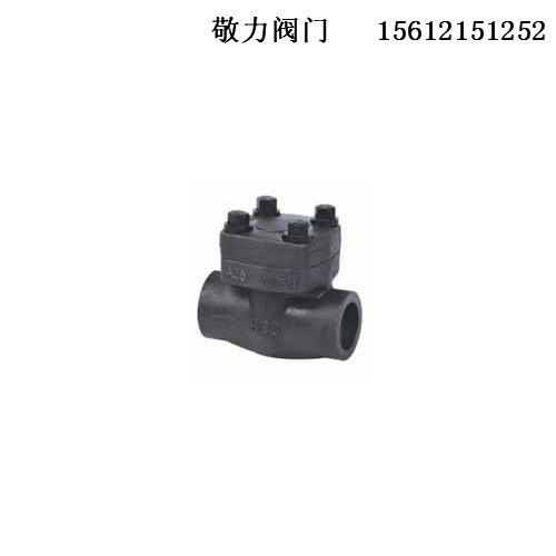 河北敬力止回阀