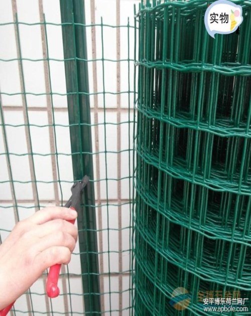圈山荷兰网厂家/浸塑荷兰网哪家好