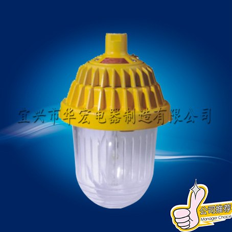 BPC8720防爆平台灯 中石油专用灯 150W节能型防爆平台灯