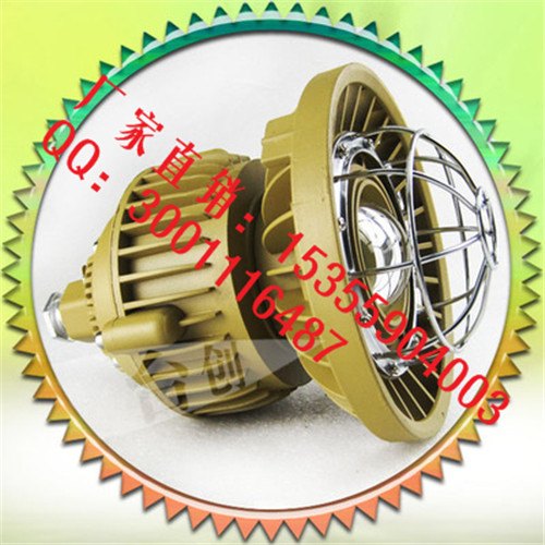 led防爆灯具TCD110B 30W强光投光灯头 防水防尘
