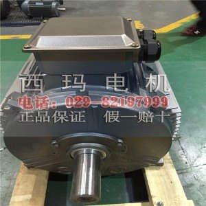 西玛电机 YVFE3-315M-6A高效节能型变频调速电机