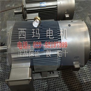 西玛电机 YVFE3-315L1-6高效节能型变频调速电机