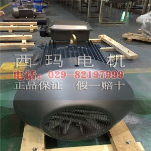 西玛电机 YVFE3-355M-6高效节能型变频调速电机