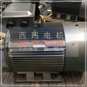 西玛电机 YVFE3-355L-6高效节能型变频调速电机
