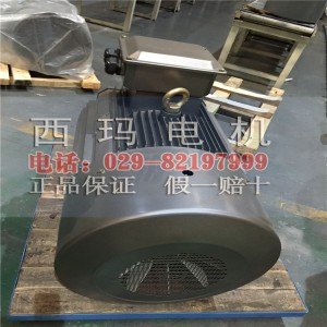 西玛电机 YVFE3-3551-6高效节能型变频调速电机