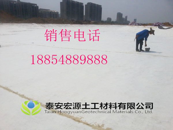 山东膨润土防水毯哪家好