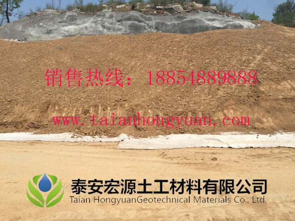 膨润土防水毯