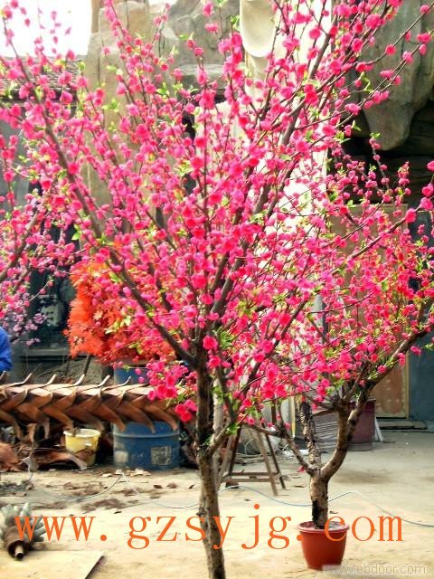 仿真樱花梅花树 梅花树树高度 幼儿梅花树树干