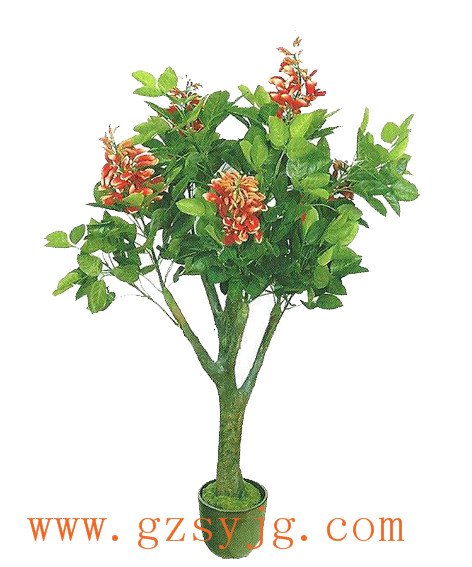 仿真樱花牡丹花树 牡丹花树树高度 幼儿牡丹花树树干 