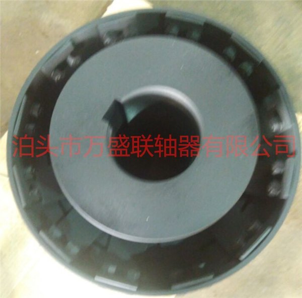 扇形快弹性联轴器出售 LEN扇形弹性联轴器