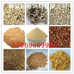 山东聊城烘干豆渣