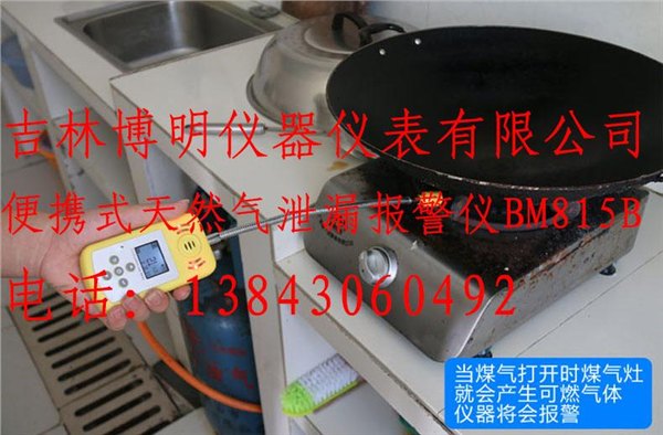 长春手持式天然气检漏仪BM815B