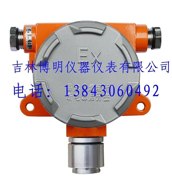 长春点型可燃气体检测器BM80