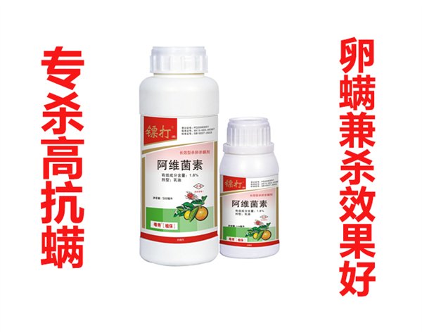 柑橘杀螨剂不伤花果的杀螨剂红蜘蛛用什么药好