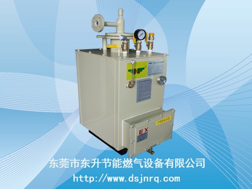 东升追求卓越 共赢发展山东汽化器设备煤改气合作厂商