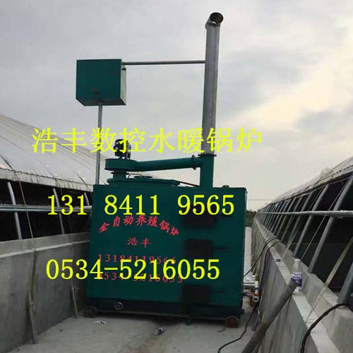 养殖锅炉厂家批发  养殖水暖锅炉反烧省煤