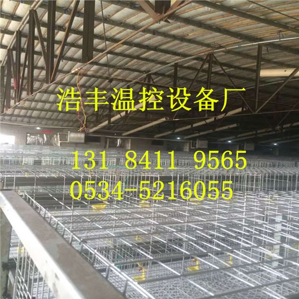 水暖炉 育雏专用锅炉价格