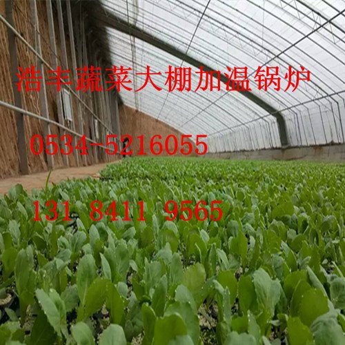 蔬菜大棚水暖锅炉厂家