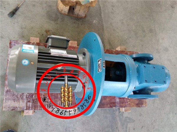 SNS1700R46U8W23【黄山铁人泵业】三螺杆泵结构图