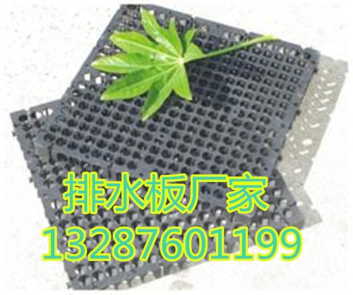 供应蓄排水板型号
