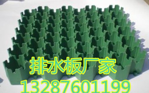 塑料排水板-HDPE排水板
