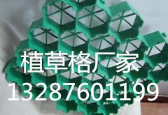 7公分5公分植草格价格