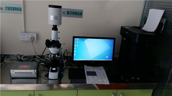 精子全自动分析系统，全自动精液分析仪生产厂家，全自动精液分析仪,精子质