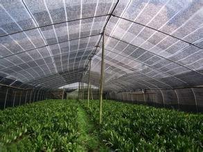 环保防尘网生产厂家/盖土防尘网厂家
