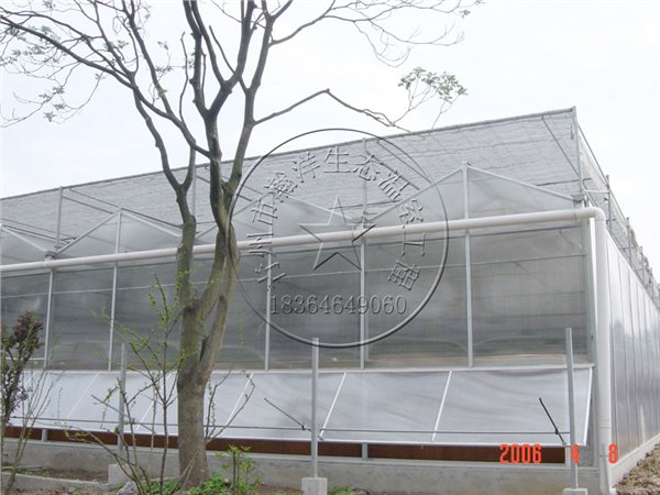 文洛型阳光板温室厂家