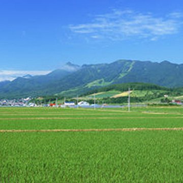 害虫性诱智能测报
