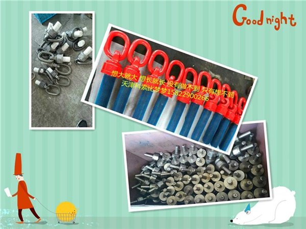 天津万向吊环厂家厂家科索比最专业